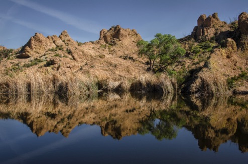 Boyce Thompson  Arboretum