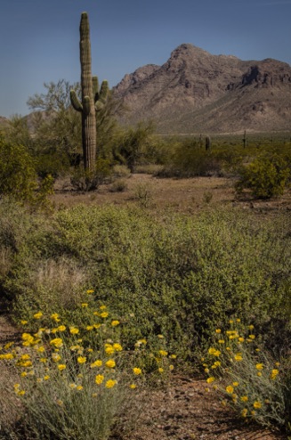 Picacho Peak State Park