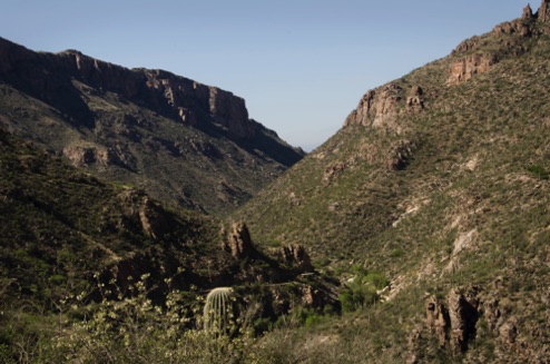 Sabino Canyon