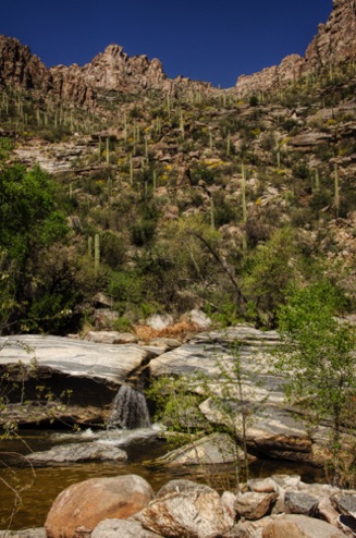 Sabino Canyon