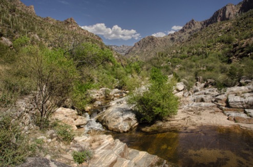 Sabino Canyon