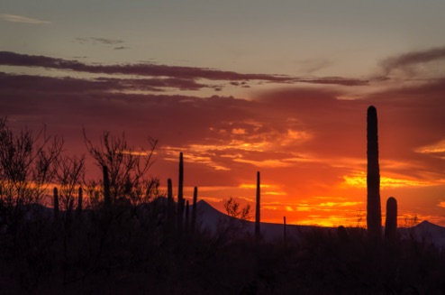 Arizona Sunset