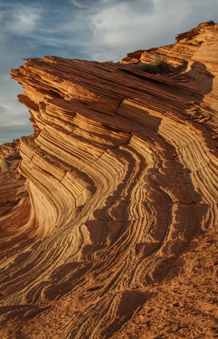 Ancient Sand Dune
“Landscapes, Seascapes, and Urbanscapes” Pacific Art League
October 2014