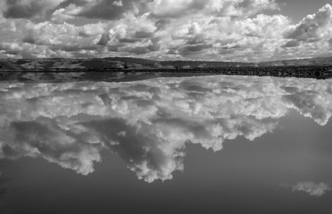 East Bay Reflection
"Images/Place Memory"
Palo Alto Camera Club, Avenue 25 Gallery
March-April 2017