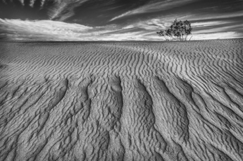 Mesquite Dunes
"Photography and the Creative Eye"
Pacific Art League
June 2018