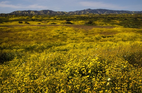 Along Soda Lake Road Along Soda Lake Road