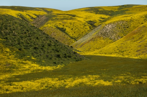 1Carrizo3.jpg 1Carrizo3.jpg