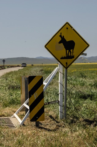 Watch for Proghorns Watch for Proghorns