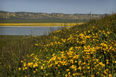 View from Overlook Hill