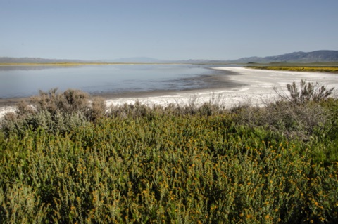 Looking south at Soda Lake from boardwalk Looking south at Soda Lake from boardwalk