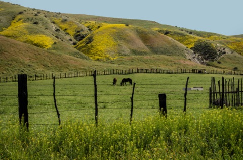 South end of Soda Lake Road