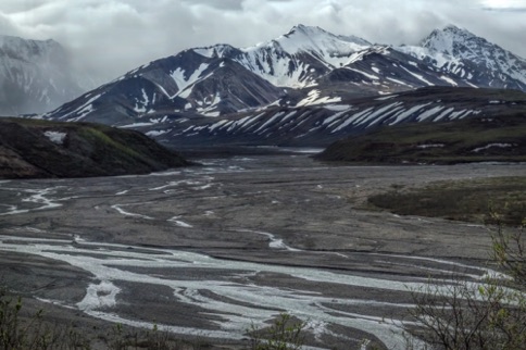 Along the Denali Road