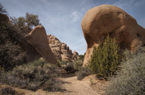 Split Rock Trail