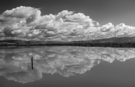 East Bay Reflection