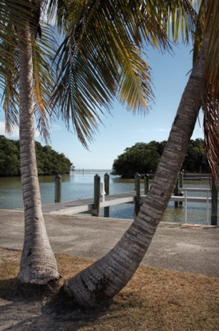 Flamingo area, Everglades National Park