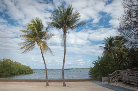 John Pennekamp State Park