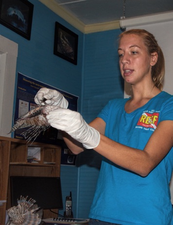 Demonstration with invasive Lionfish