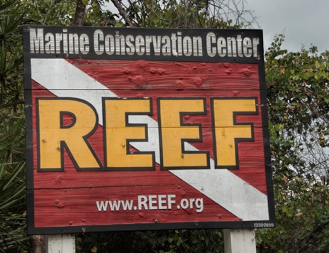 Reef Environmental Education Foundation
Key Largo