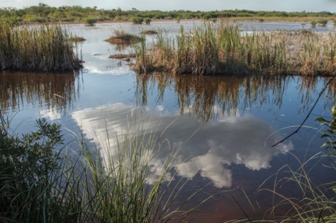 Ten Thousand Islands National Wildlife Refuge