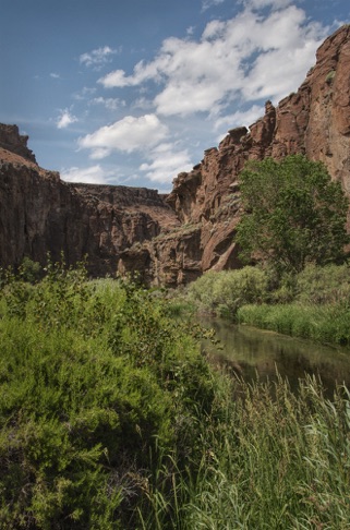 Salmon Falls Creek