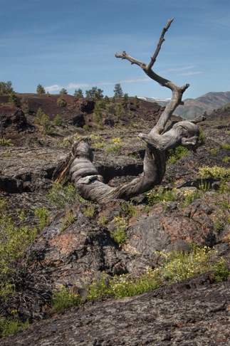 Craters of the Moon National Monument