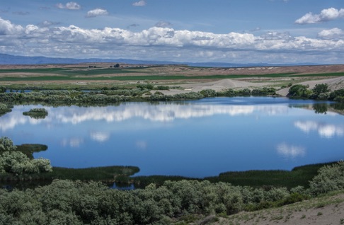 Bruneau Dunes State Park