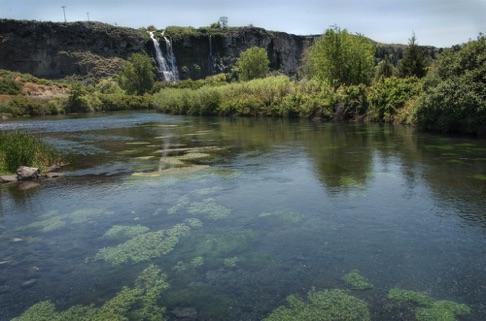 Thousand Springs