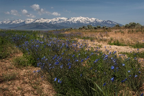 Toward Wells, Nevada