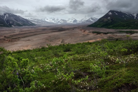 Land of Ten Thousand Smokes