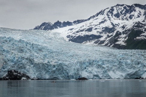 Aialik Glacier