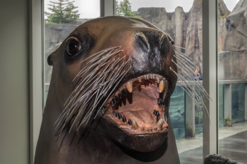 Statue at Alaska Sea Life Center