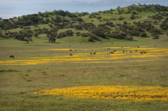 Along the highway from west to east