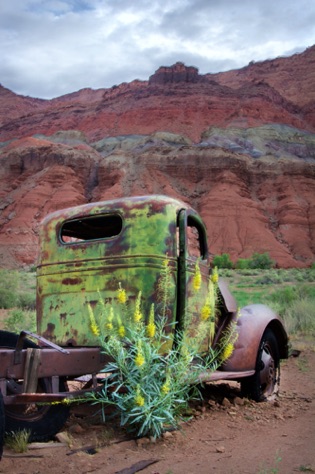 Truck and Prince's Plume